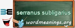 WordMeaning blackboard for serranus subligarius
